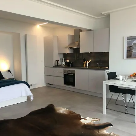 Seaview Loft * 오스텐드