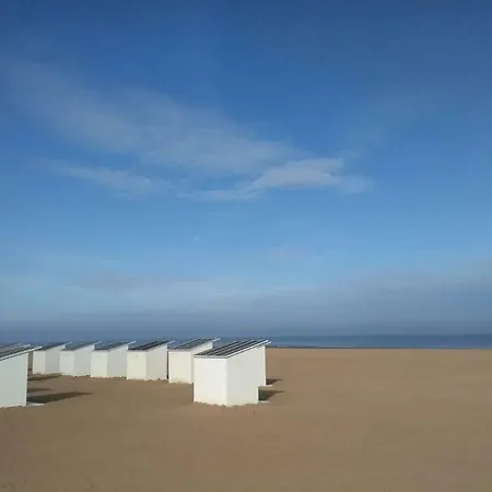 Seaview Loft 公寓 *